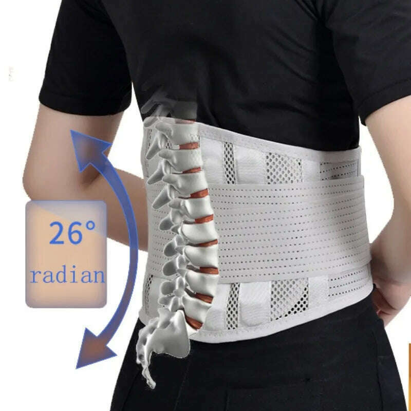 Breathable Lumbar Support Belt With 5 Reinforced Support Plates,Adjustable Back Brace Waist Trainer For HerniatedDisc Protection