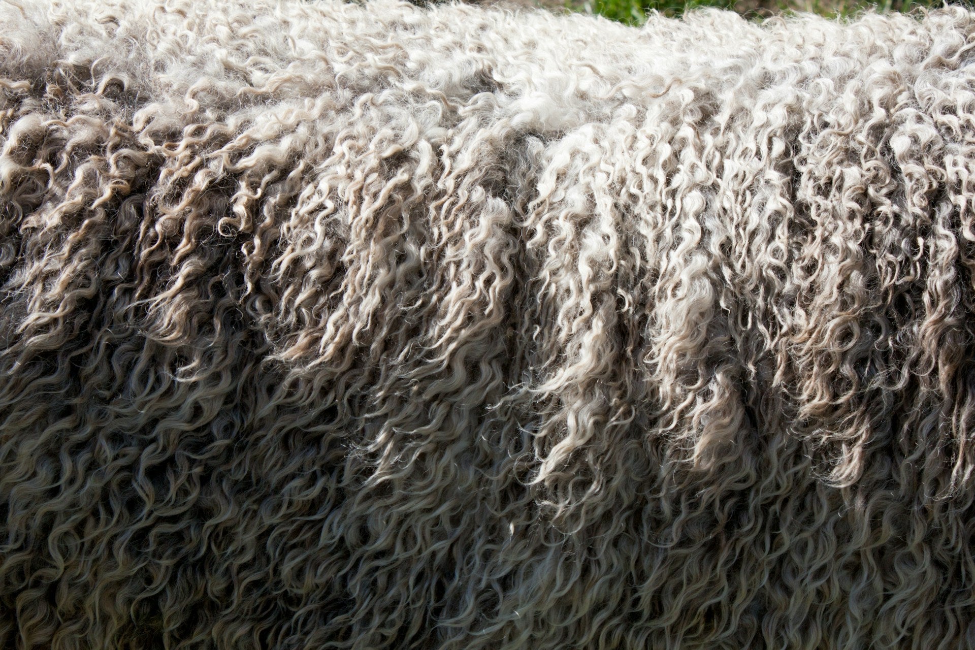 WOOL & CACHEMIRE
