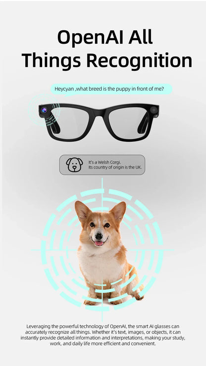 Hiwego New  Smart AI Glasses 800W pixel AI Shooting Camera HD Photo Video Voice Call Translation  Bluetooth Glasses For xiaomi