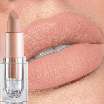Handaiyan 12 Colors Matte Waterproof Velvet Nude Lipstick Sexy Red Brown Pigments Makeup Long Lasting Profissional