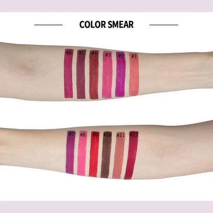 HANDAIYAN 12-color matte velvet lipstick long-lasting waterproof non-stick cup does not fall color lipstick lipstick