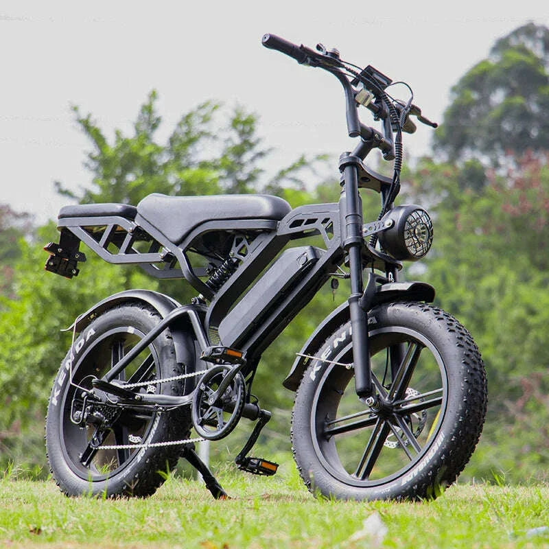 2025 V20 3.0 ebike pro electric bike 1000W 48V 15AH electric bicycle Hydraulic brake Integrated wheel snow 20*4.0 tire fatbike