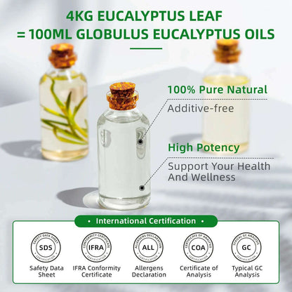 HIQILI 100ML Eucalyptus Vanilla Frankincense Mint Sandalwood Rose Essential Oils for Diffuser Humidifier Candle Making Massage