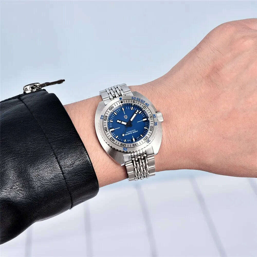 PAGANI DESIGN 2024 New Men's Automatic Mechanical Divers Watches NH38 Sapphire Stainless Steel 300m Waterproof AR Watch for Men