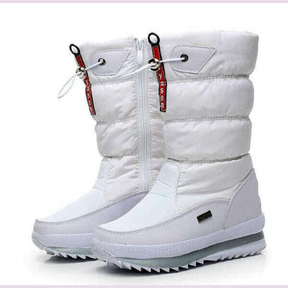 Women Snow Boots Platform Winter Boots Thick Plush Waterproof Non-slip Boots Fashion Women Winter Shoes Warm Fur Botas mujer